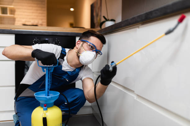 Best Residential Pest Control  in South Pottstown, PA