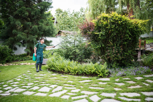Best Ant Control Services  in South Pottstown, PA