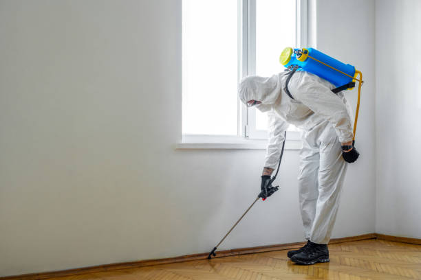 Best Pest Control Near Me in South Pottstown, PA