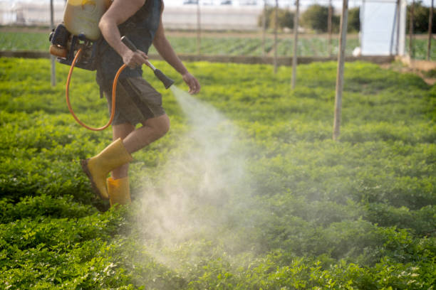 Best Local Pest Control Services  in South Pottstown, PA
