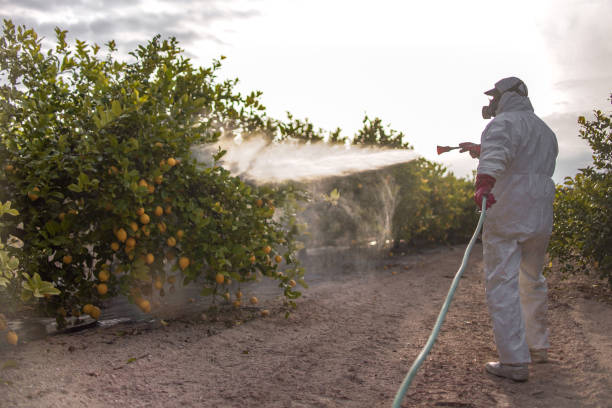 Best Cockroach Control Services  in South Pottstown, PA