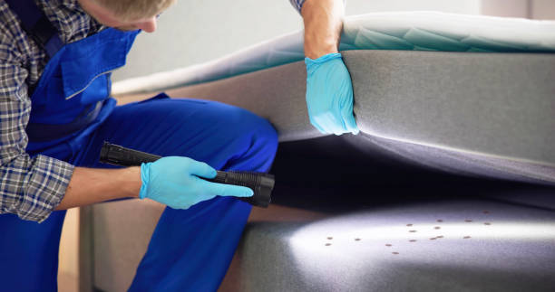Best Best Pest Control Companies  in South Pottstown, PA