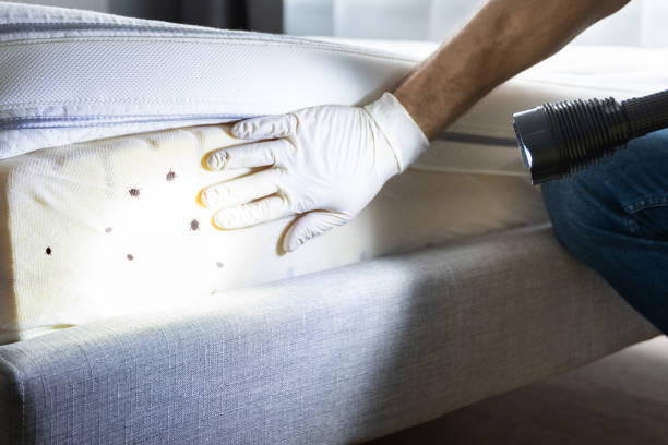 Best Mosquito Control Services  in South Pottstown, PA