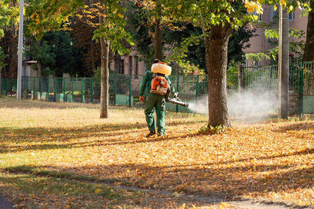 Best Insect Control  in South Pottstown, PA
