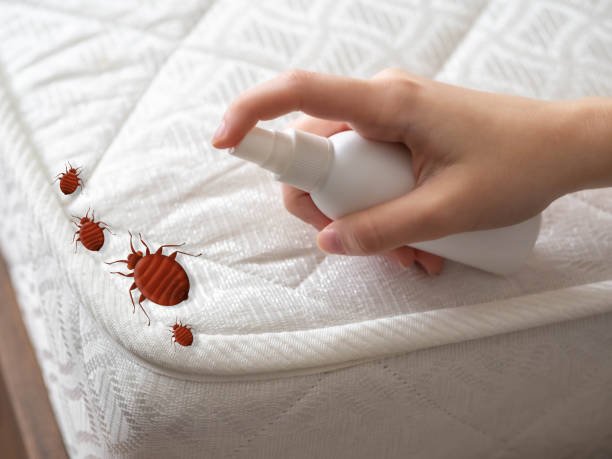 Best Residential Pest Control  in South Pottstown, PA