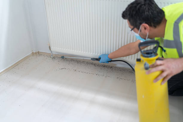 Best Pest Removal Services  in South Pottstown, PA