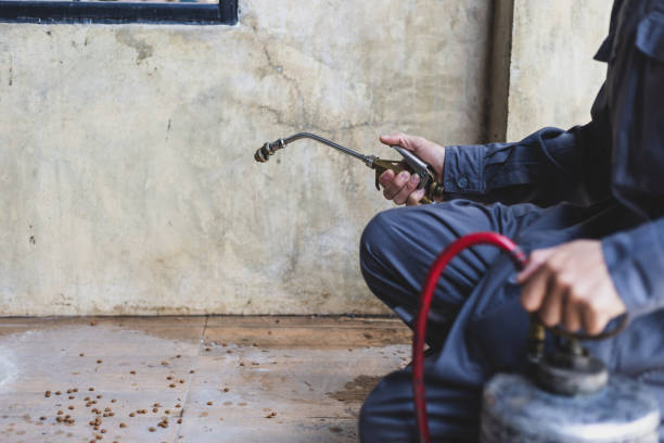 Best Affordable Pest Control Services  in South Pottstown, PA